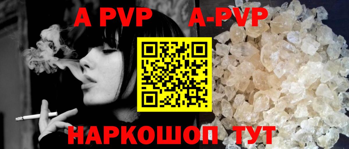 A PVP СК КРИС Новокубанск
