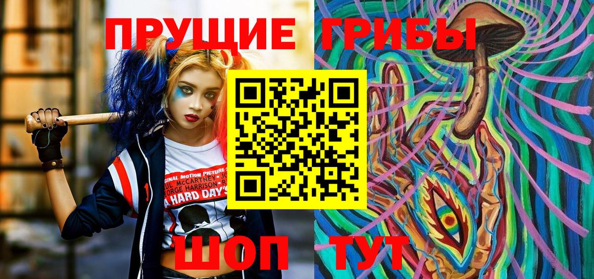 Псилоцибиновые грибы Cubensis  Вход с VPN  Новокубанск 